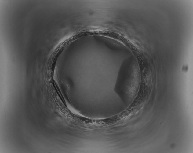 X0000098191351200805011114