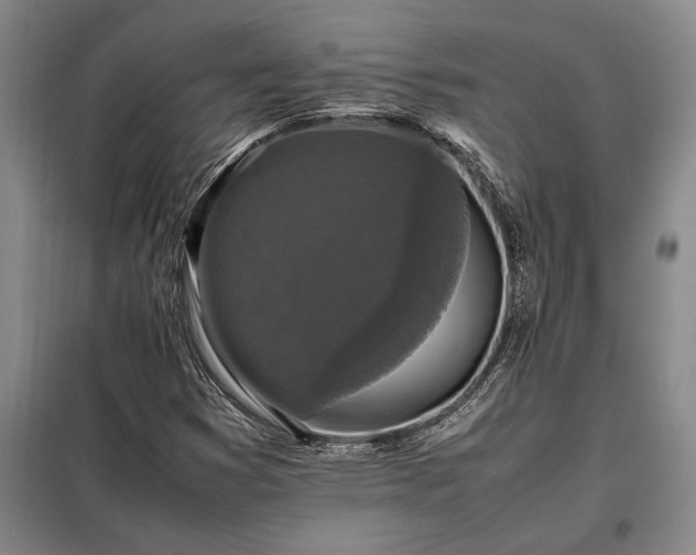 X0000098191353200805011114