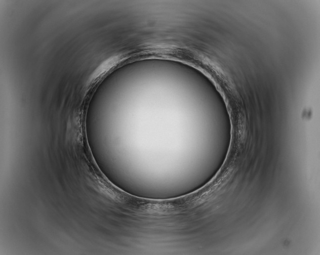 X0000098191354200805011114