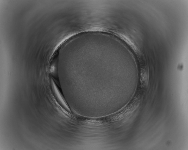 X0000098191356200805011114