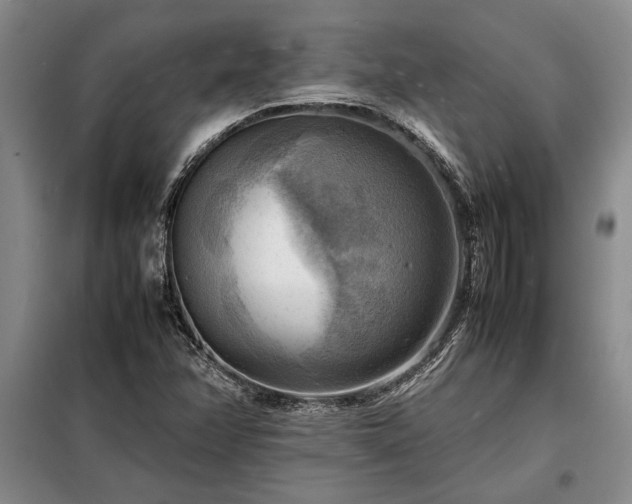 X0000098191358200805011114