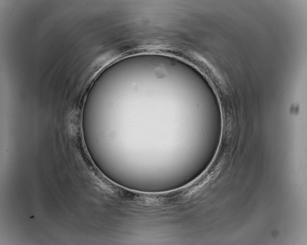 X0000098191361200805011114