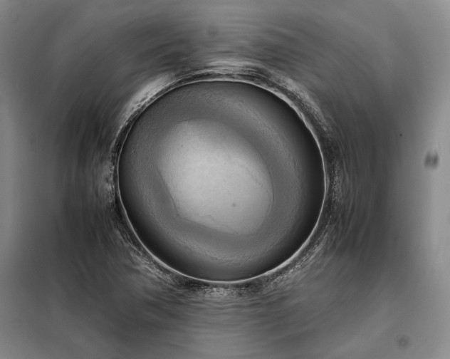 X0000098191362200805011114