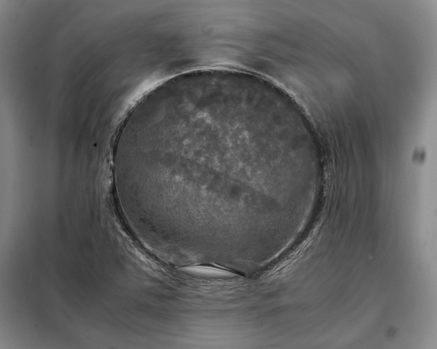 X0000098191363200805011114
