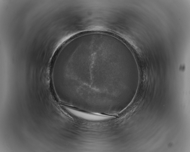 X0000098191364200805011114