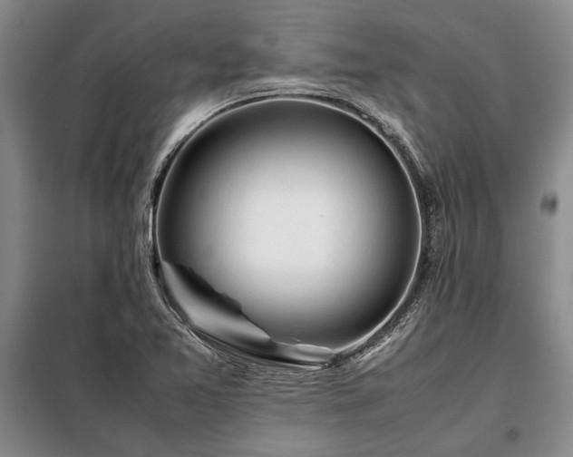 X0000098191365200805011114