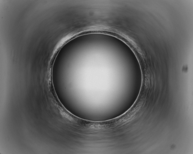 X0000098191366200805011114