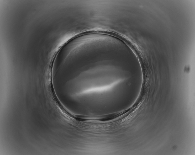 X0000098191367200805011114