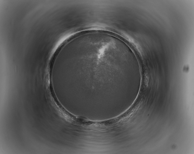 X0000098191368200805011114