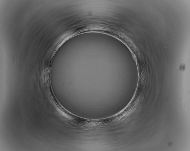 X0000098191369200805011114
