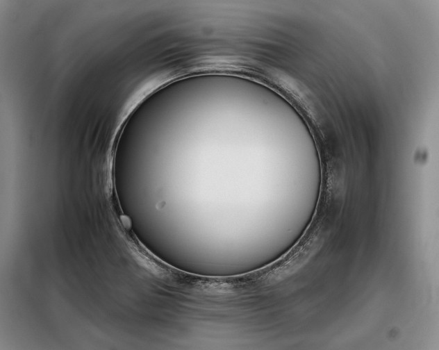 X0000098191370200805011114