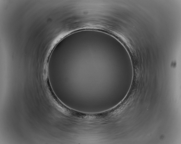 X0000098191371200805011114