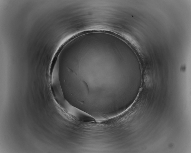 X0000098191372200805011114
