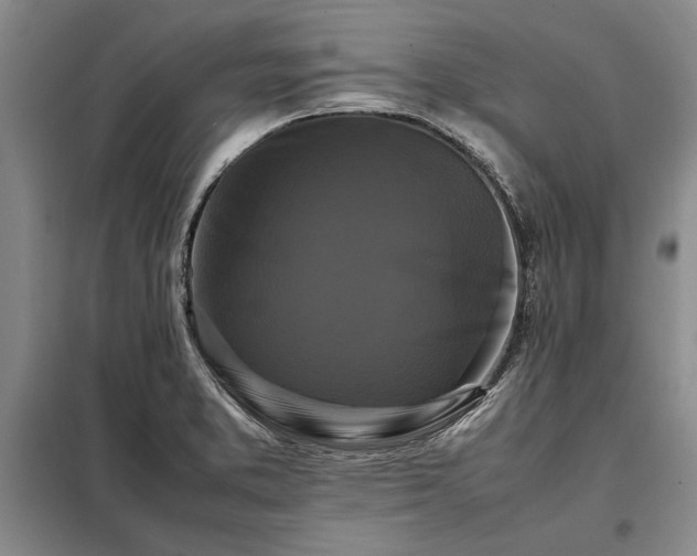 X0000098191373200805011114