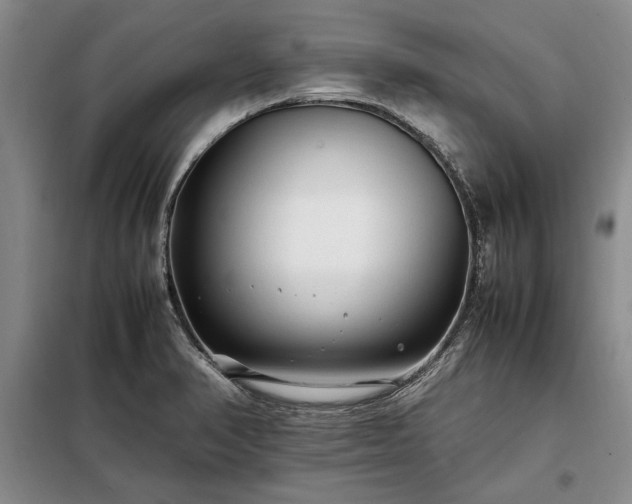 X0000098191374200805011114