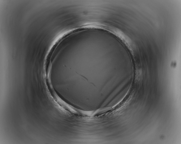X0000098191376200805011114