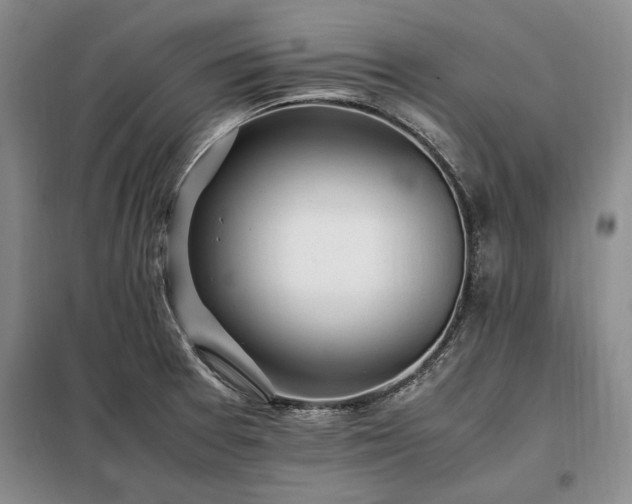 X0000098191377200805011114