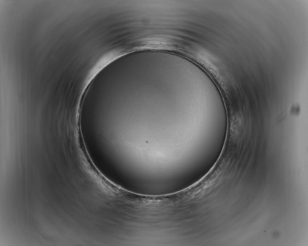 X0000098191378200805011114