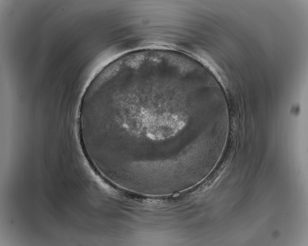 X0000098191379200805011114