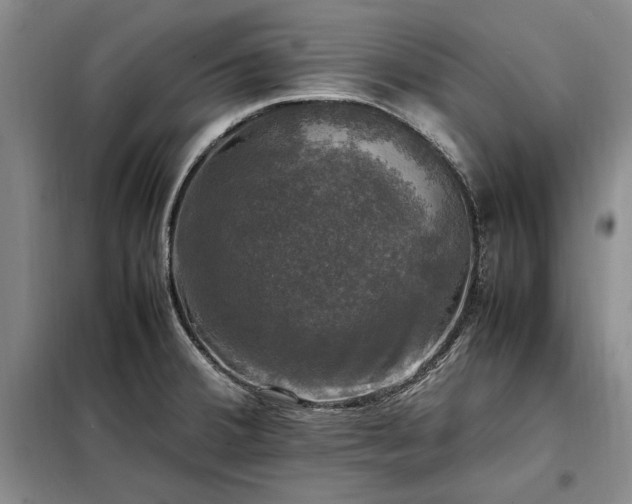 X0000098191380200805011114