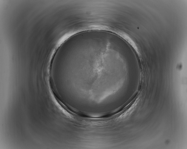 X0000098191381200805011114