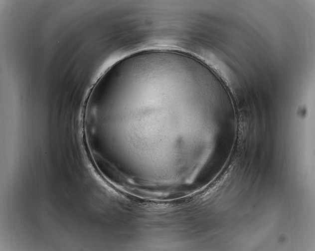 X0000098191382200805011114