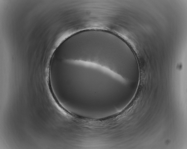 X0000098191383200805011114