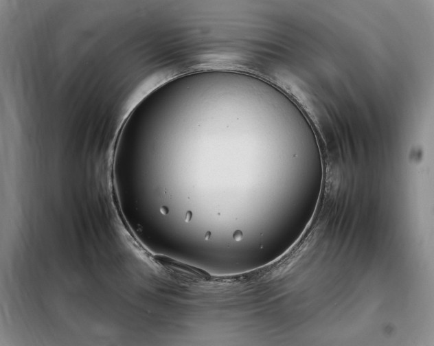 X0000098191386200805011114