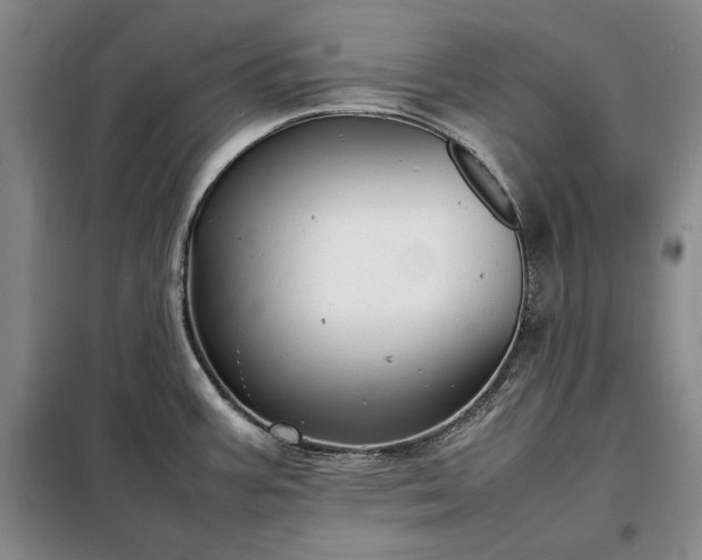 X0000098191387200805011114