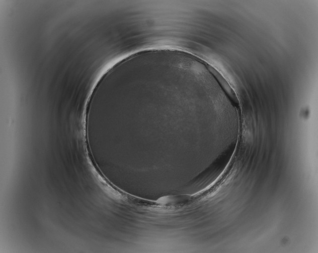 X0000098191388200805011114