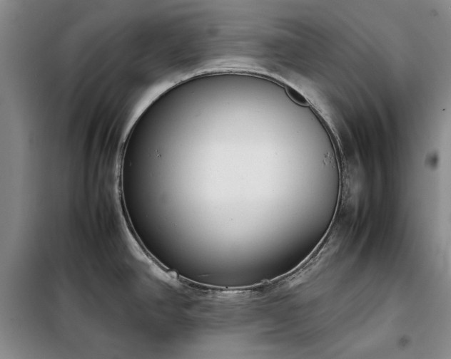 X0000098191390200805011114