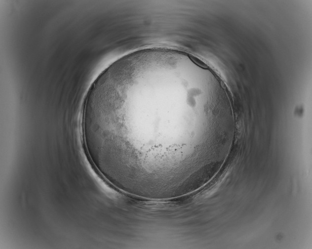 X0000098191391200805011114