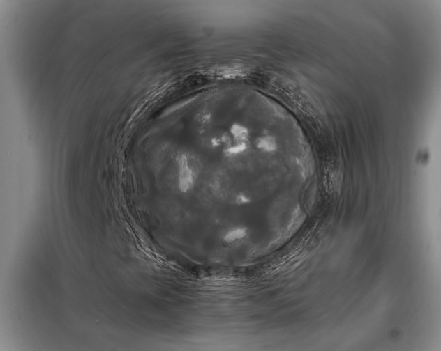 X0000098191393200805011113