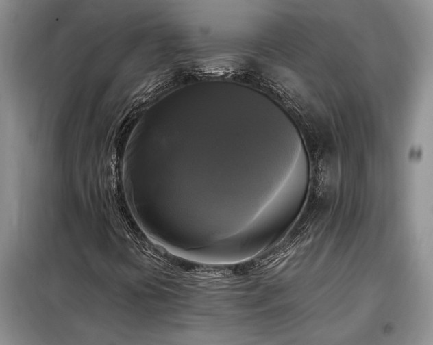 X0000098191394200805011113