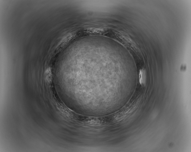 X0000098191395200805011113