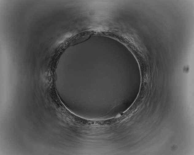 X0000098191398200805011113