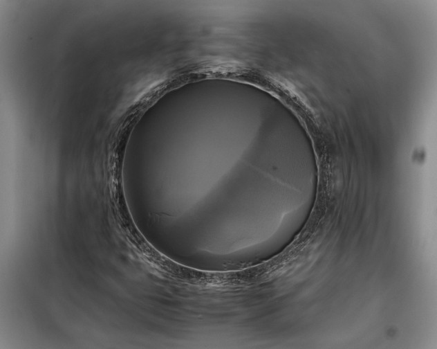 X0000098191399200805011113