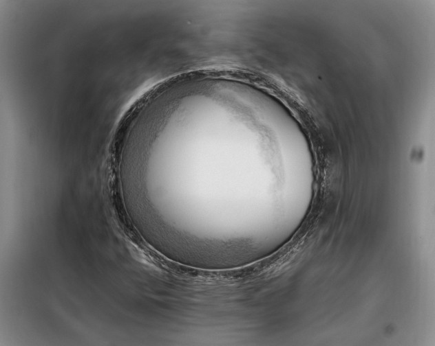X0000098191400200805011113
