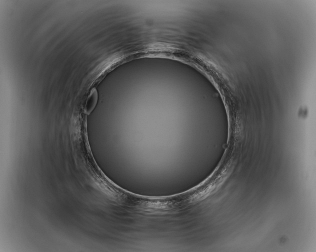 X0000098191401200805011113