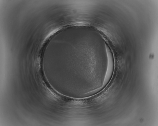 X0000098191402200805011113