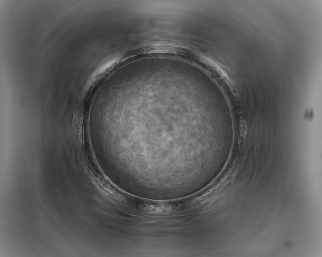 X0000098191403200805011113