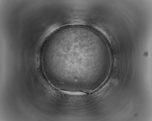 X0000098191407200805011113