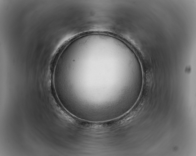 X0000098191408200805011113