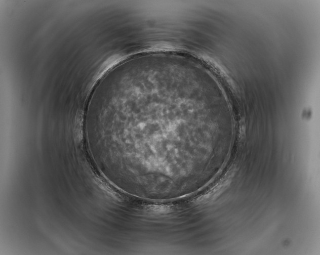 X0000098191409200805011113