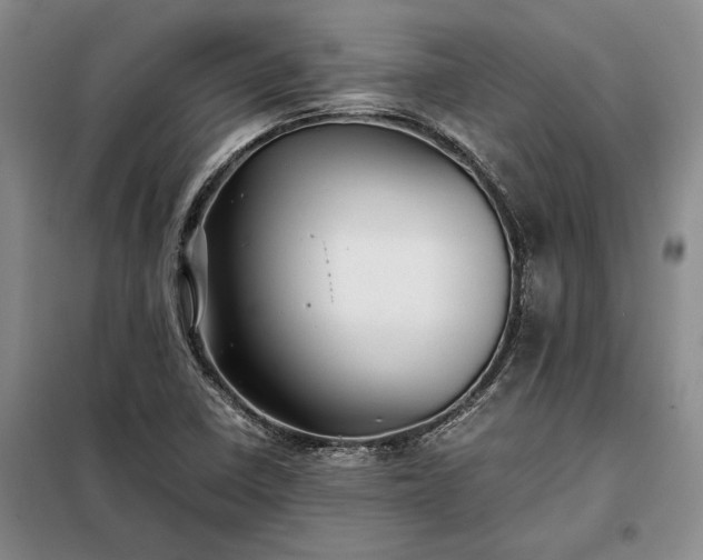 X0000098191410200805011113