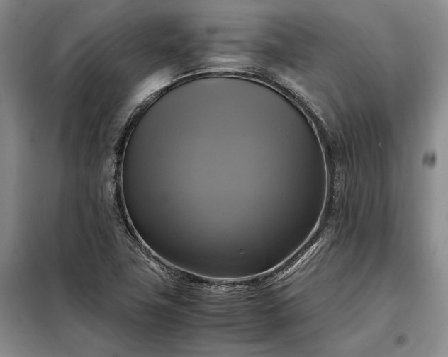 X0000098191411200805011113