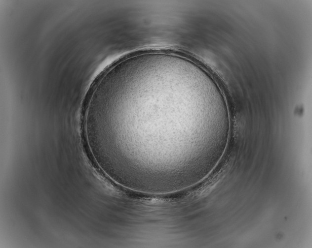 X0000098191412200805011113