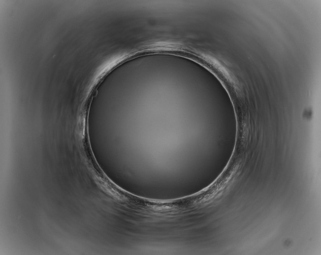 X0000098191413200805011113