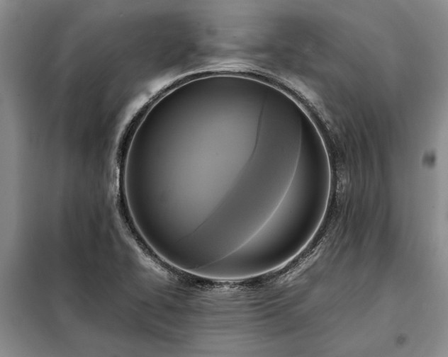 X0000098191414200805011113