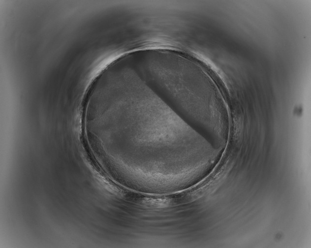 X0000098191415200805011113